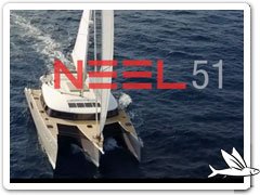 NEEL 51 Video